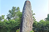 Six-foot-tall menhir from Megalithic period discovered in Udupi